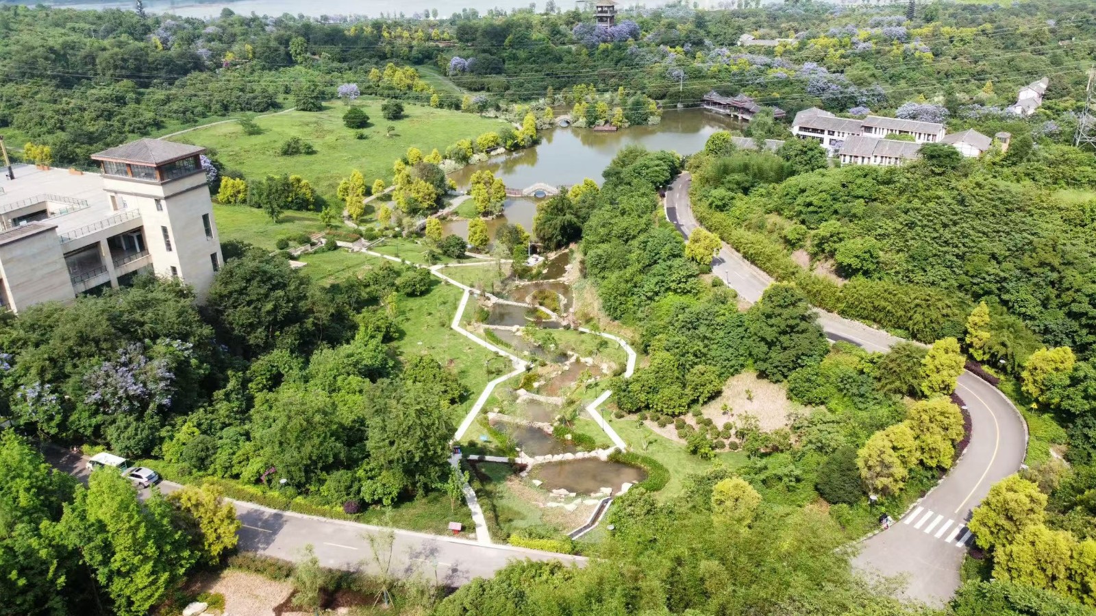 张坝桂圆林海绵化改造工程